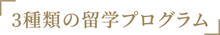 「3 種類の留学プログラム」