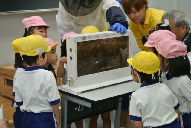 採蜜体験イベント2