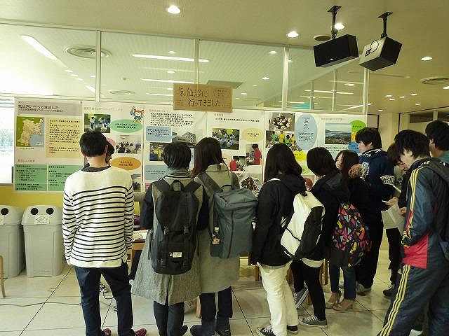 サメの試食会