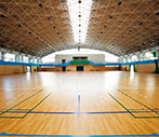 Gymnasium