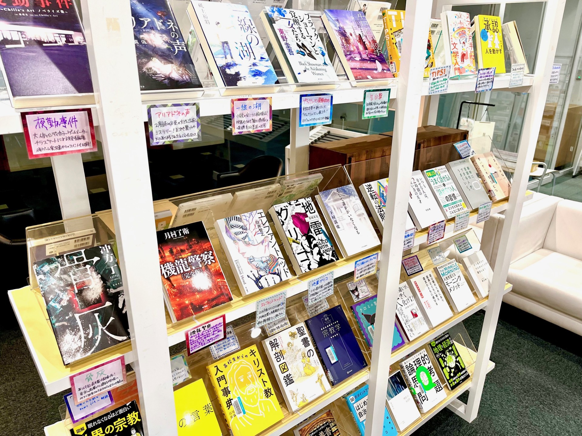 展示の様子