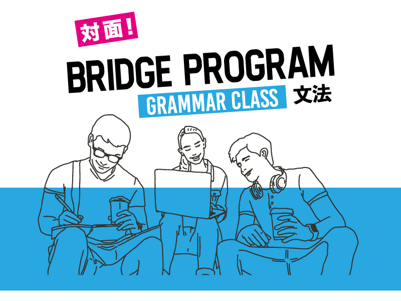 bridge program