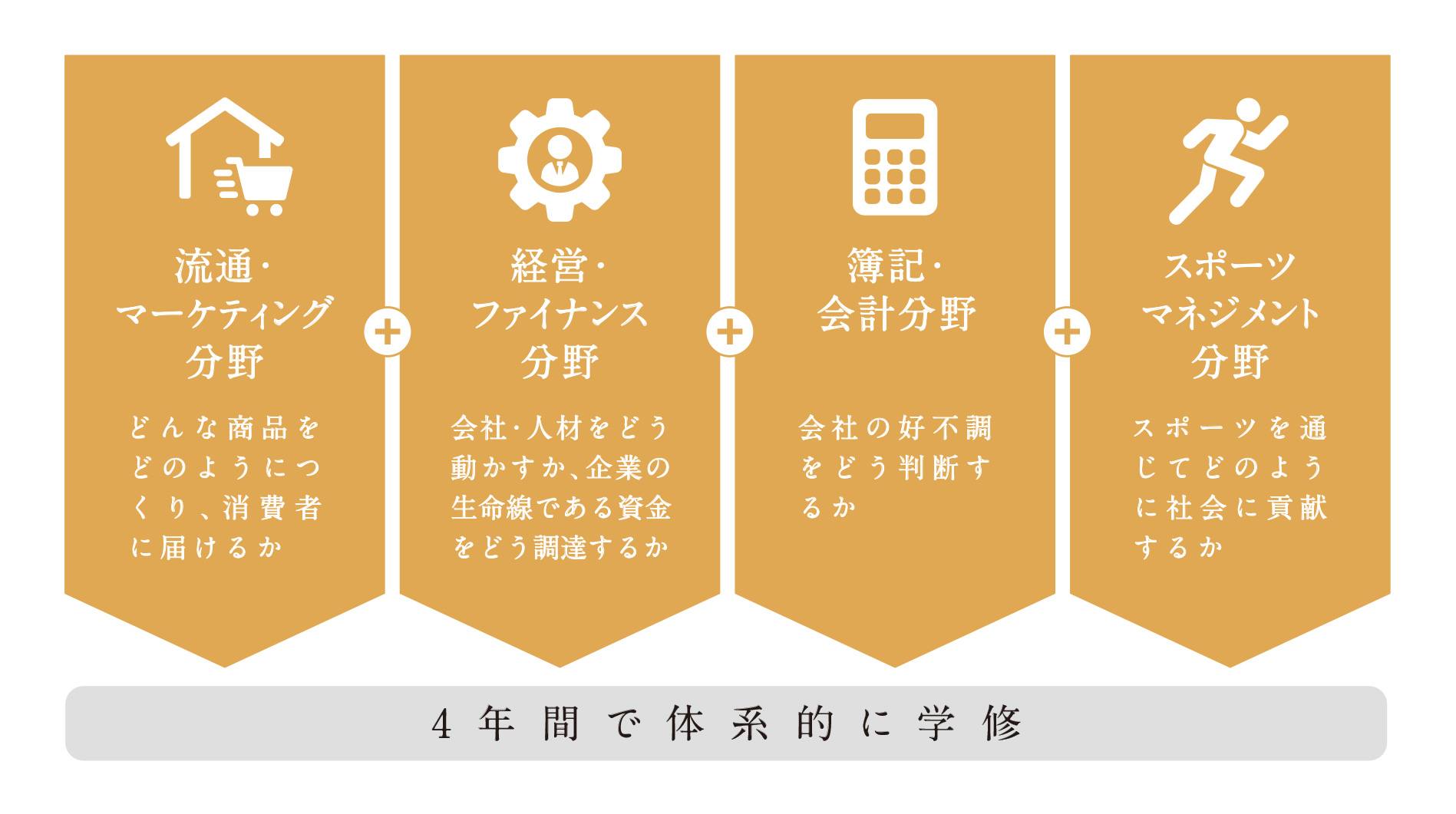学びの領域