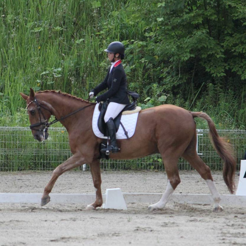 馬術部鈴木選手とハイデルベルク号